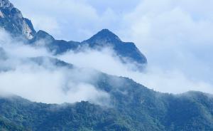 保护秦岭生态，西安将限期关停退出36座小水电站 