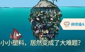 我們每天扔掉的外賣垃圾可以鋪平3個故宮嗎？