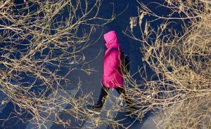 受厄尔尼诺影响今年我国气候状况偏差，旱涝灾害较重