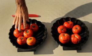 科學(xué)界是如何看待轉(zhuǎn)基因育種技術(shù)的