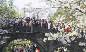 杭州太子灣迎花期，游客入園數(shù)激增，日產(chǎn)垃圾數(shù)噸