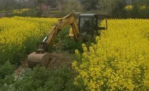 江蘇靖江現挖掘機強行平墳，殯改辦公開信要求清明前整治到位