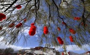 新華社評論員：讓雪域格?；ǜ訝€漫