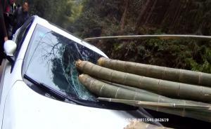 “死神”來了！貨車載毛竹“萬箭齊發(fā)”