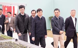 應(yīng)勇調(diào)研崇明：打響“兩無化”品牌，推廣使用綠色生產(chǎn)資料