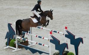 海南瑞澤：馬術(shù)小鎮(zhèn)項目已獲得備案，公司完成工商注冊