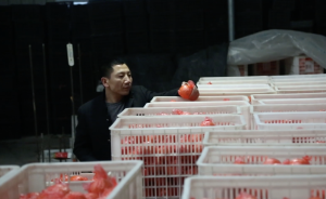云陽小伙辭職回鄉(xiāng)做電商，帶村民脫貧橘柑年銷千萬
