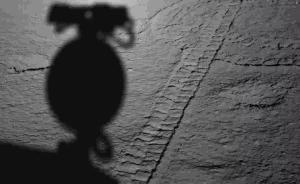 嫦娥四号着陆器于今晚正常唤醒，开展第四月昼工作