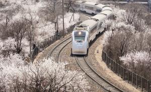 北京居庸關(guān)“花海列車”,人潮中駛向春天