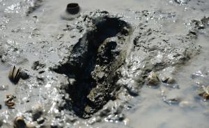 研究性學(xué)習(xí)在“奇葩”邊緣掙扎：家長(zhǎng)不懂裝懂，教師懂裝不懂