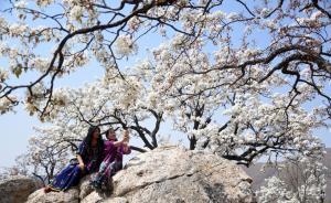 經(jīng)濟(jì)日報刊文：踏青賞花正當(dāng)時