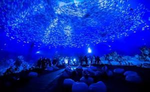 各地展覽“扎堆”，小長假不妨就近觀展