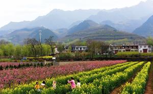 陜西：今年全面完成秦嶺北麓生態(tài)保護紅線勘界定標試點工作