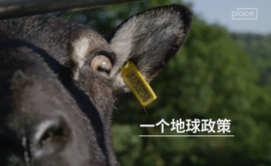 威爾士：一個地球政策吸引青年回到村莊