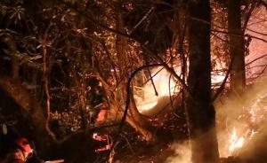 木里火災前,今年涼山已發(fā)21起森林大火