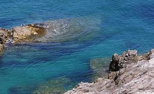 中國(guó)沿海海平面呈波動(dòng)上升趨勢(shì)，北極海冰范圍呈顯著減小趨勢(shì)