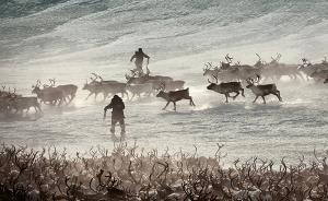 正在消失的他們