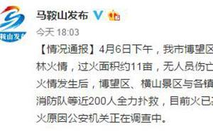 马鞍山发生山林火灾：目前已基本扑灭，无人员伤亡