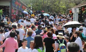 清明假期超1億人次出游，旅游收入478.9億元