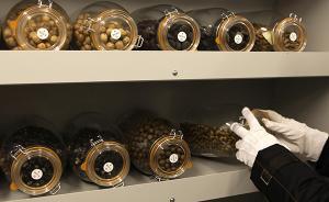 “論文強(qiáng)國(guó)”緣何不是“種業(yè)強(qiáng)國(guó)”，中國(guó)種業(yè)之問(wèn)如何作答