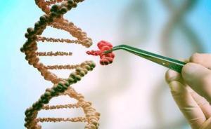 基因編輯食品要上市？專家：有脫靶風(fēng)險(xiǎn)，但不影響食品安全性