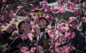 5月起赴日旅游签证可网上申请？暂时仅针对代办机构