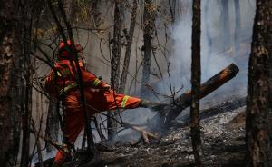 直播錄像丨四川冕寧森林火災得到控制，近600人正奮力撲救