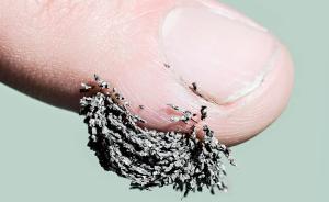 科學(xué)加持的人類：超人or非人