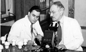 鏈霉素背后的故事