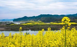 陕西：在秦岭核心保护区违法开发房地产，拟最高罚200万