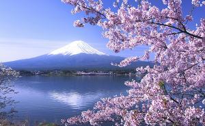 5月起日本开放中国游客在线办签证，五一办签量同比增四成