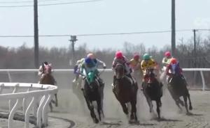 海南“馬”上宣布：一個大機(jī)會，快“馬”加鞭而來