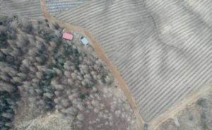 密林开“天窗”，黑龙江6000亩林地疑被毁林种人参