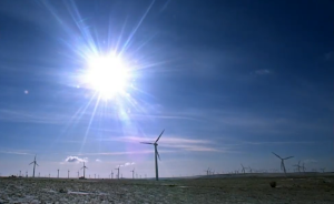 倡導低碳生活，共同扭轉氣候危機