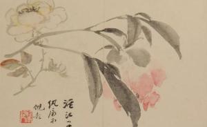 臘盡春回、草長鶯飛，赴蘇州博物館品明清花鳥主題精品展