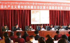 共青團(tuán)西藏自治區(qū)委新設(shè)“深化共青團(tuán)改革”等8個(gè)專門委員會(huì)