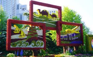 這份“一帶一路”成績單，帶你速覽五年多來共享文明豐碩成果