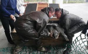 湖南媒體：“斑鱉姑娘”離去，留下的諸多疑問不能成為懸案