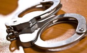 海南六旬男子在不經(jīng)停公交站要下車遭拒，揮拳毆打司機被刑拘