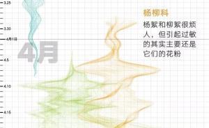 帝都花粉季：是什么飘进了你的鼻孔？