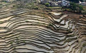 公務(wù)員手記｜“文明上山”的觀察與反思