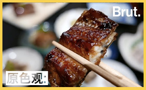 極度瀕危的鰻魚，再拼命吃的話就要滅絕了？