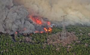 直播錄像丨沈陽棋盤山山火基本撲滅，撲火人員正在清理火場