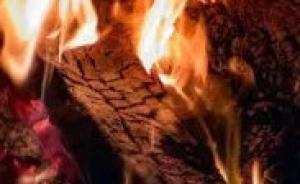 巴黎圣母院燒焦木頭被掛網(wǎng)上拍賣，網(wǎng)友批“發(fā)國難財”