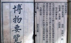 敘詭筆記｜楠木：一種欺軟怕硬的“神木”