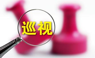 天津公安局巡視整改：對13名涉武長順人員“補(bǔ)足”組織處理