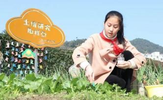 杭州富陽區(qū)首發(fā)小學(xué)生“勞動清單”，每年級設(shè)75件勞動事項(xiàng)