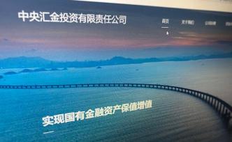 匯金公司新進16只A股十大流通股東名單，偏愛醫藥和化工股