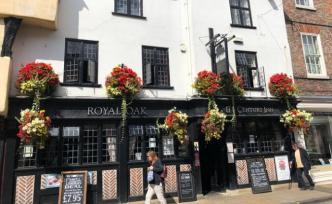 走近街头“圣树”：英国橡树文化小史