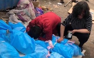 山東淄博一流浪動(dòng)物救助站16只貓狗被燒死，?警方介入調(diào)查